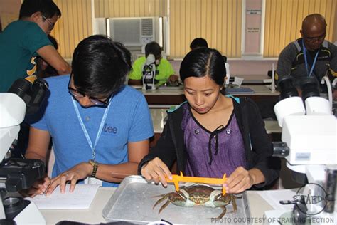 Crab Training in India; Crab Cultural Practices - Agri Farming - muktibox.com