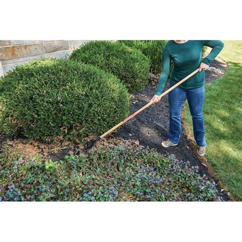 CRAFTSMAN 8-in Shrub Rake in the Lawn & Leaf Rakes …