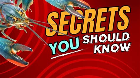 Crayfish Farming: Expert Tips for Beginners - muktibox.com