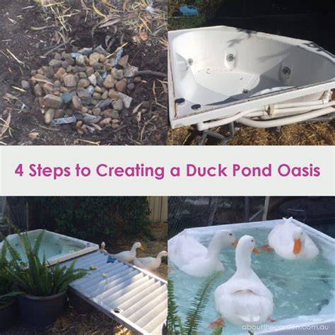 Creating a Duck Pond or Water Feature - raincitystudios.com