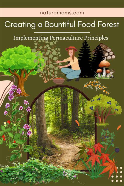 Creating a Resilient Food Forest Using Permaculture … - raincitystudios.com