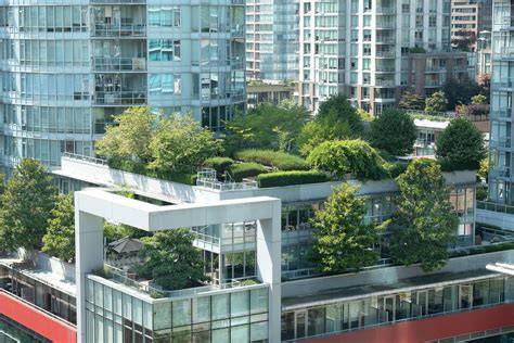 Creating a Rooftop Garden | Evergreen Infrastructure - raincitystudios.com