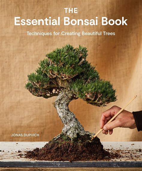 Creating a Serene Bonsai Landscape: A Guide to Perfecting Your ... - raincitystudios.com