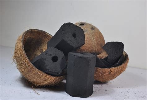 CREATION OF BRIQUETTES FROM COCONUT SHELLS, CORN - raincitystudios.com