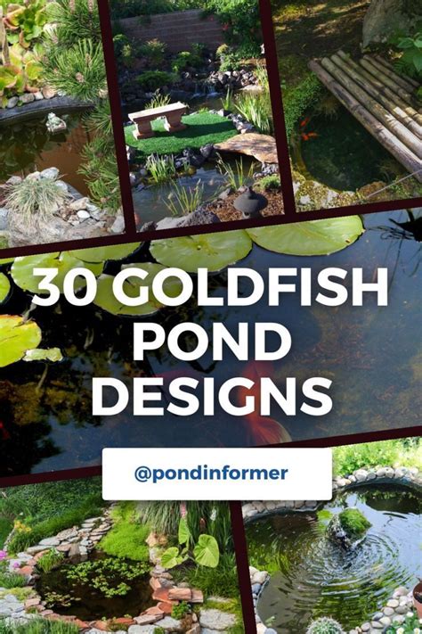 Creative Ideas for Goldfish Ponds: Design Inspiration - raincitystudios.com