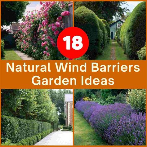 Creative Ideas for Using Natural Barriers in Edible Landscapes - raincitystudios.com