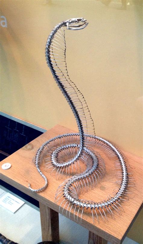 Creative Wire Skeleton Ideas for Unique Decor - muktibox.com