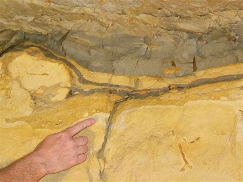 Cretaceous–Paleogene boundary - wintechmobiles.com