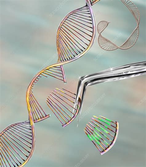 Crispr Gene Editing Laboratory Illustration - muktibox.com