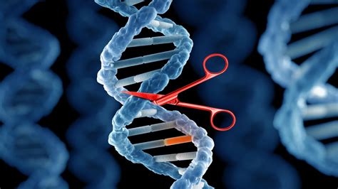 CRISPR gene editing could kill HIV. But is it a cure?