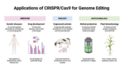 CRISPR-Cas9: Genome Engineering and Future Vaccine Applications ... - muktibox.com