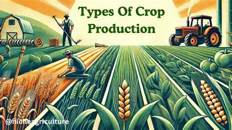 Crop & Livestock Practices - Manure Management - USDA ERS - raincitystudios.com