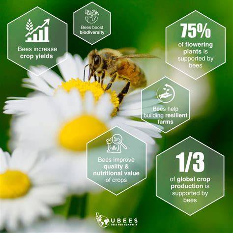 Crop Pollination Services From Wild Bees | Bee Pollination in ... - raincitystudios.com