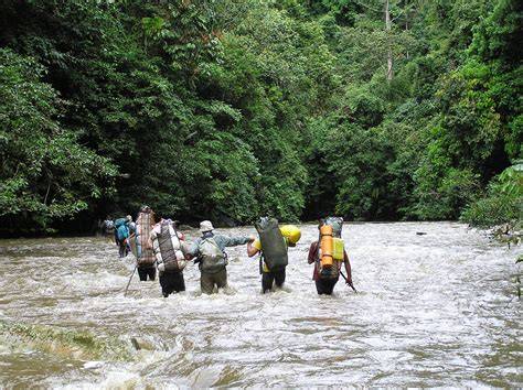 Cross Borneo Trek - Adventure Indonesia Tour - raincitystudios.com