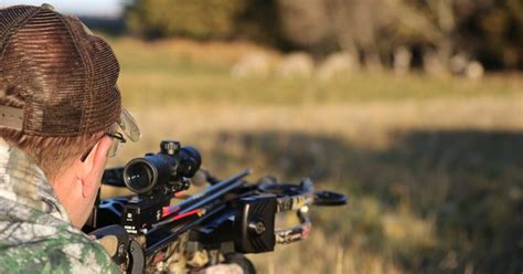 Crossbow: Fact, Fiction and History - Grand View Outdoors - wintechmobiles.com