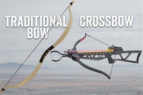 Crossbows and Longbows - Pros and Cons - avid - wintechmobiles.com