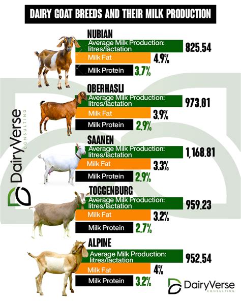 Crossing Goat Breeds for Milk Production - raincitystudios.com