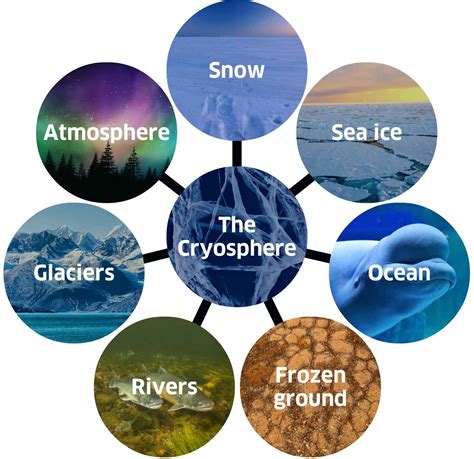 Cryosphere & Carbon Cycle Flashcards | Quizlet - muktibox.com