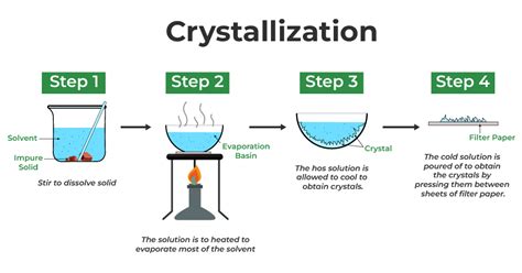 Crystallization Experiment - Grow Salt Crystals | DIY Science Project - wintechmobiles.com