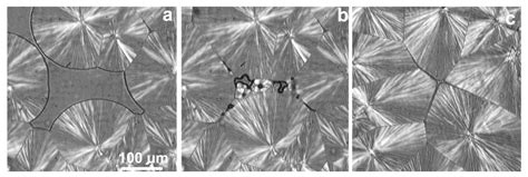 Crystallization of polymers - wintechmobiles.com