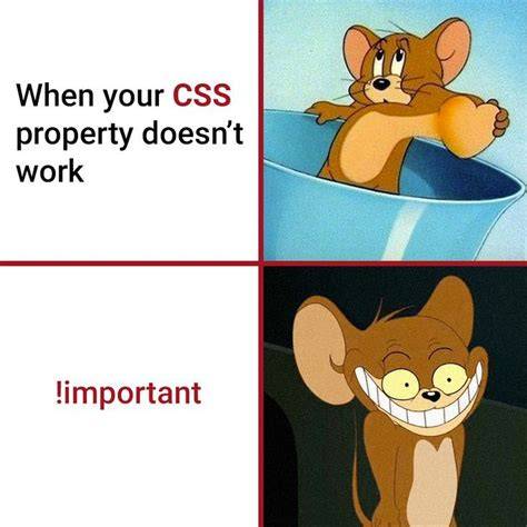 CSS Programmer: Funny Journal. CSS Programmer Gifts.