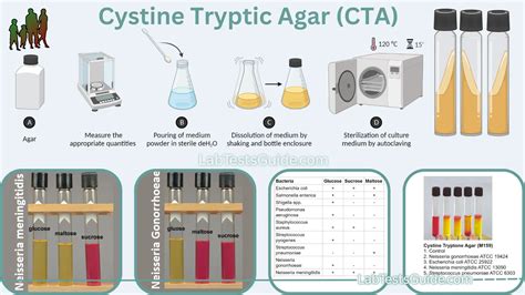 CTA Testfagen.pdf