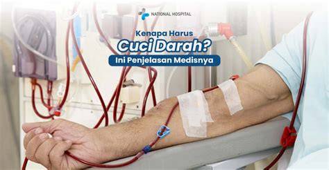 CUCI DARAH - raincitystudios.com