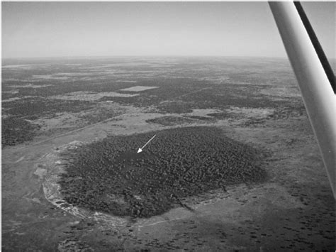 Cuddie Springs - wintechmobiles.com