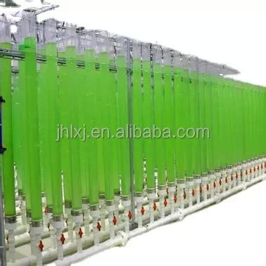Cultivating Algae in a Photobioreactor - Theseus - muktibox.com