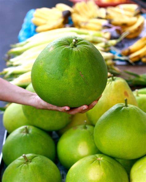 Cultivating the world's largest citrus fruit - Visit Kyushu - raincitystudios.com