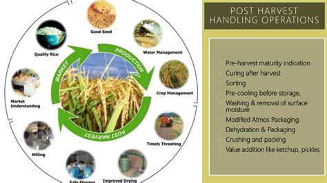 Cultivation and post-harvest handling techniques of potential future ... - raincitystudios.com