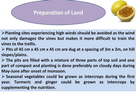 Cultivation of Underutilized Fruit Crop Malay Apple … - raincitystudios.com