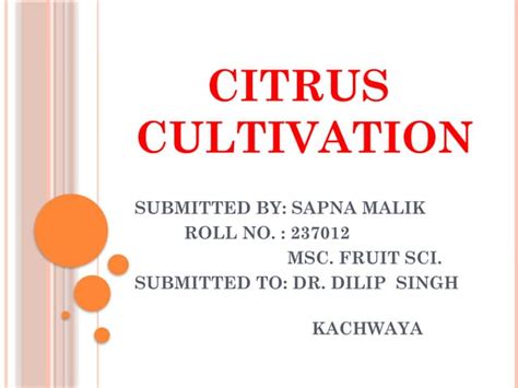 Cultivation practices of Citrus | PPTX - SlideShare - raincitystudios.com