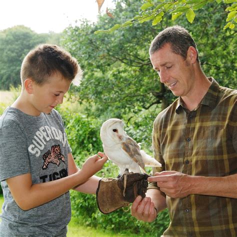 CUMBERLAND BIRD OF PREY CENTRE (Carlisle) - Tripadvisor