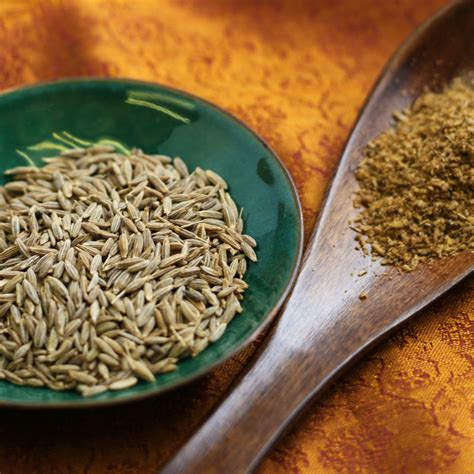Cumin and the Silk Road spice trade - DALME - wintechmobiles.com