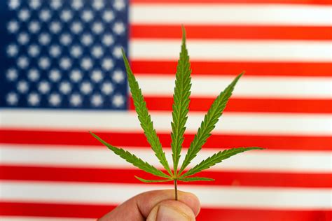 CURE Act Would Open Fed Jobs to Former Pot Smokers