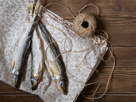 Curing Fish with Salt to Preserve your Catch - Mother … - wintechmobiles.com
