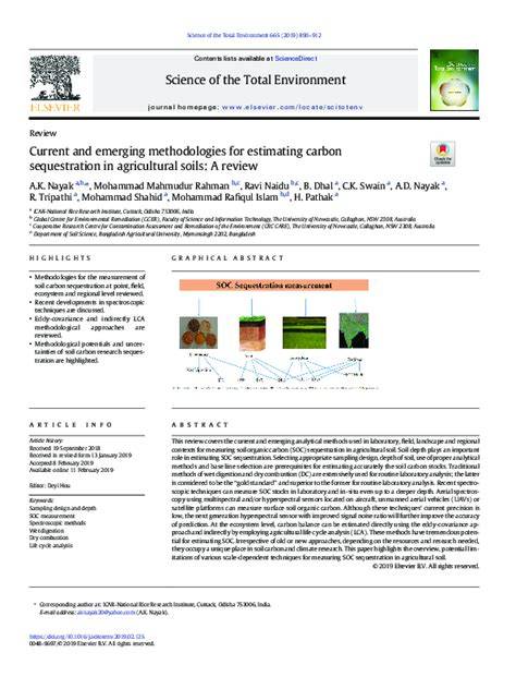 Current and emerging methodologies for estimating carbon … - raincitystudios.com