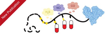 Current Opinion in Colloid & Interface Science | Journal ... - wintechmobiles.com