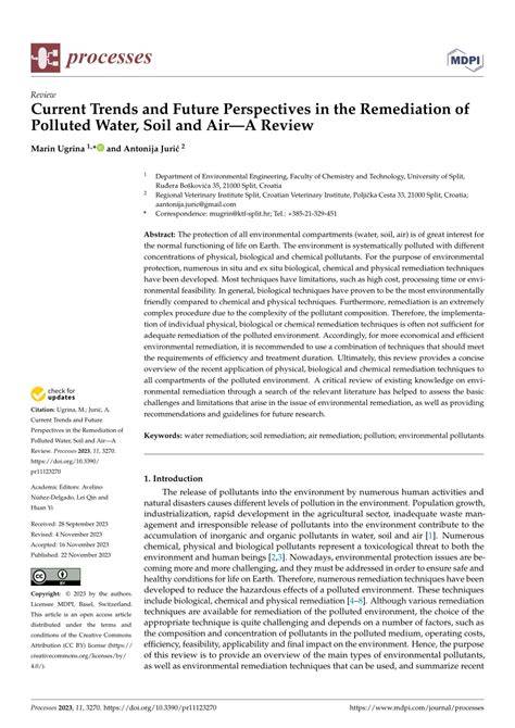 Current perspectives on the remediation methods of … - raincitystudios.com