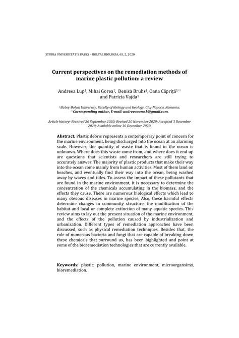 Current perspectives on the remediation methods of marine plastic ... - raincitystudios.com