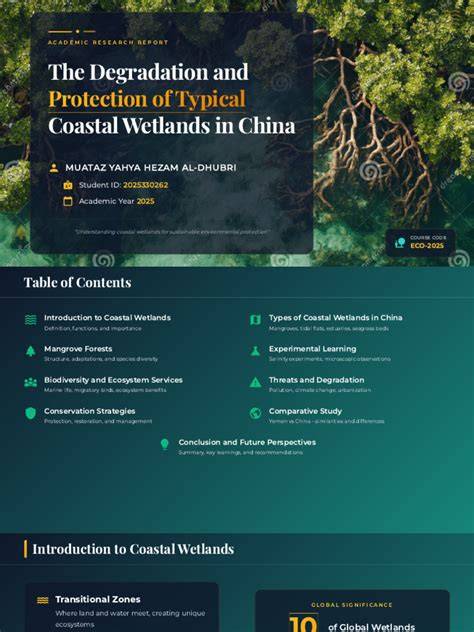 Current status of coastal wetlands in China: Degradation, restoration ... - raincitystudios.com