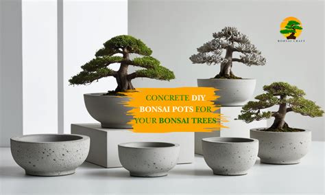 Custom Bonsai Pots - MW Bonsai Ceramics - muktibox.com
