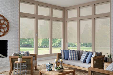 Custom Solar Shades for Windows | The Shade Store - raincitystudios.com