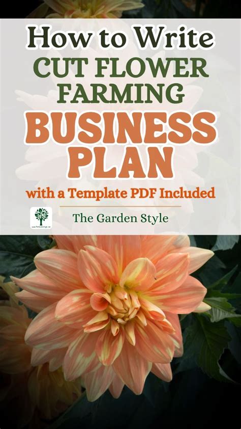 Cut Flower Farm Business Overview - raincitystudios.com