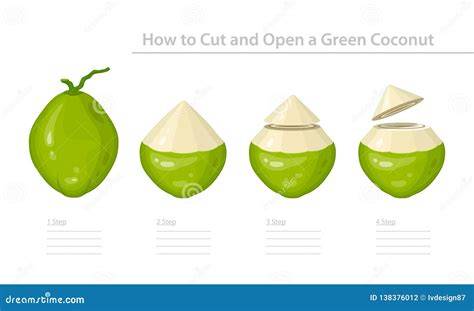 cut green young coconut ready to drink! - raincitystudios.com