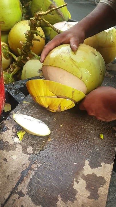 Cutting Young Coconut A Tutorial #viral #viralfbreelsfypシ ... - raincitystudios.com