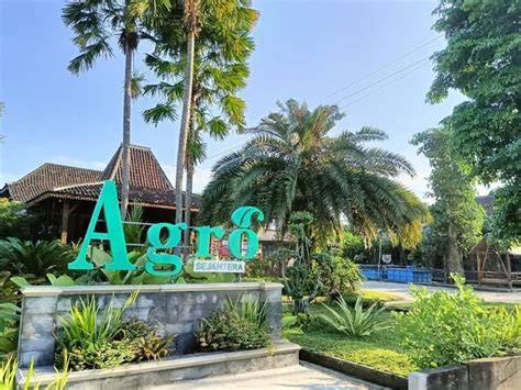 Cv Agro Joglo - Jual Bibit Tanaman Buah dan Pohon … - raincitystudios.com