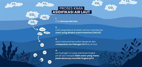 CVC Unit 4 | Ancaman Untuk Laut Dan Ekosistem … - raincitystudios.com