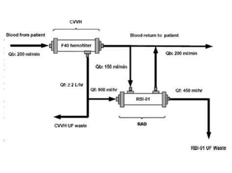 CVVH Basics - Renal Fellow Network